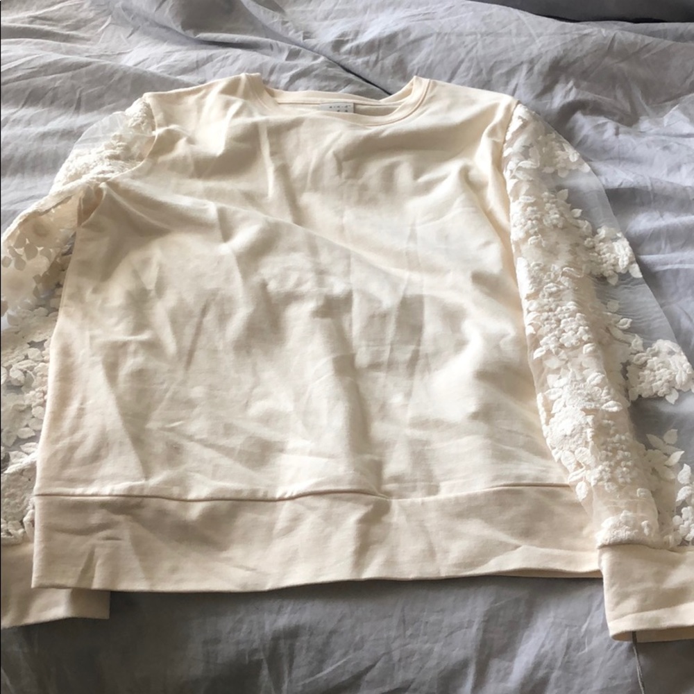 Sheer Sleeve top